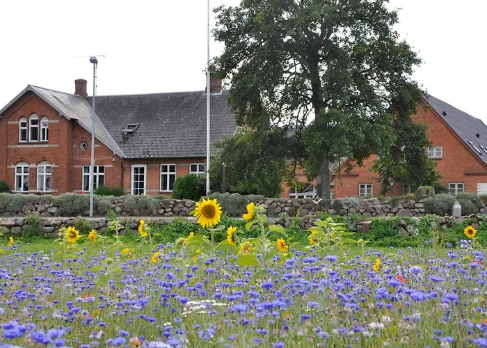 Lundsgaard Bed & Breakfast
